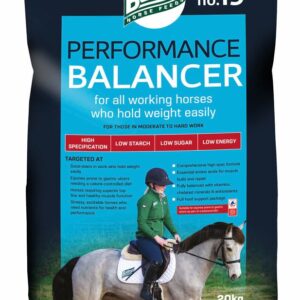NO.19 PERFORMANCE BALANCER