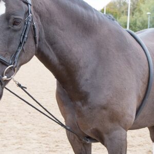Soft Lunging Aid