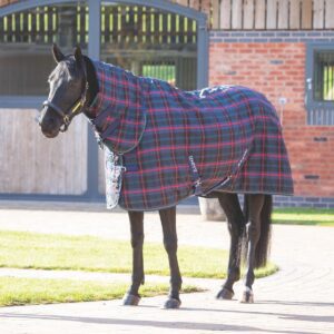 Tempest Plus 100 Stable Combo Rug