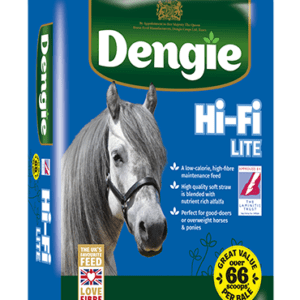 Hi Fi Lite