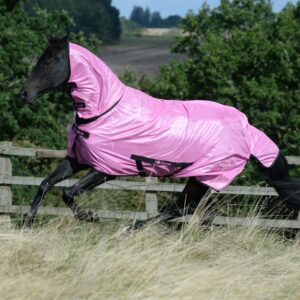 Bucas Freedom flysheet