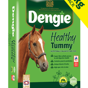 Healthy Tummy