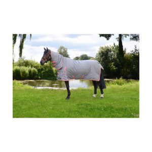 StormX Original 300 Combi Turnout Rug