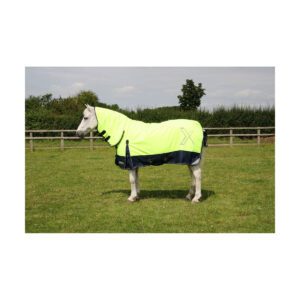 StormX Original 200 Reflective Combi Turnout Rug