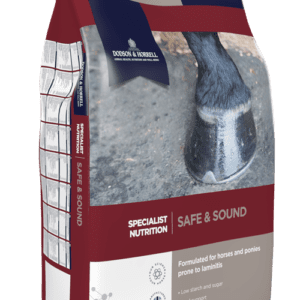 SAFE AND SOUND
