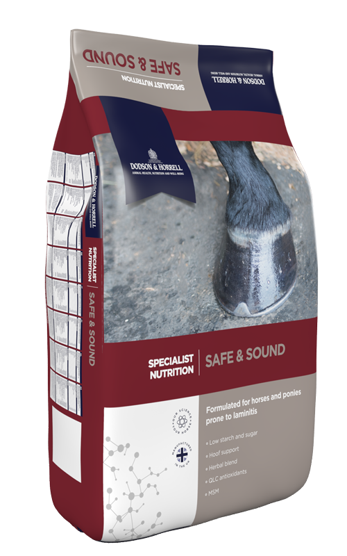 SAFE AND SOUND