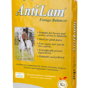 Antilam