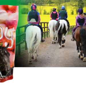Appy treats