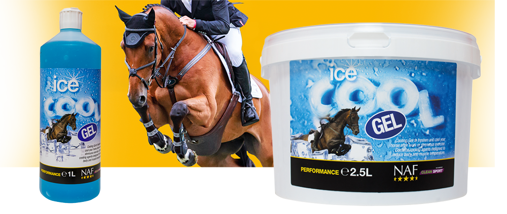 Ice Cool Gel 1Litre