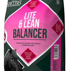 Lite & Lean Balancer