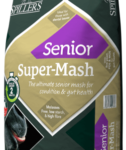 Senior Super-Mash