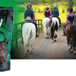 Minty Treats 1kg