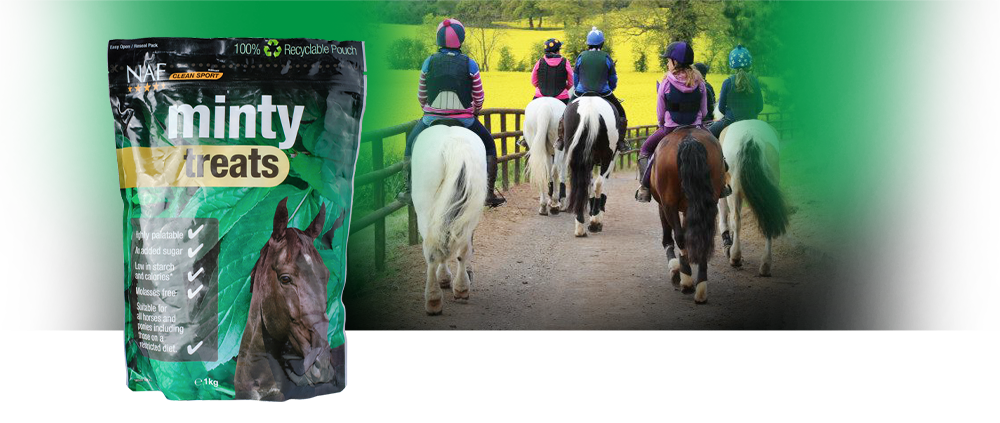Minty Treats 1kg