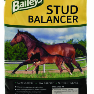 STUD BALANCER