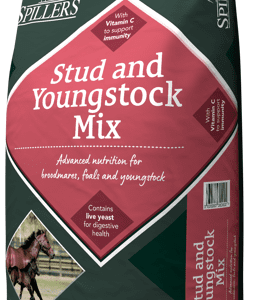 Stud and Youngstock Mix