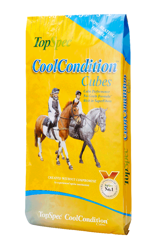 CoolCondition Cubes