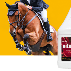 VitaFerrin 1Litre