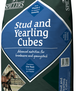 Stud and Yearling Cubes