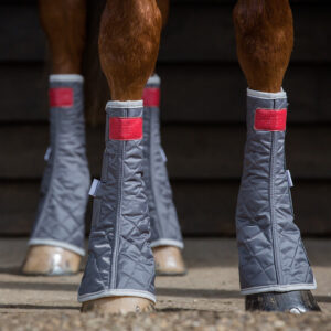 EQUILIBRIUM MAGNETIC CHAPS